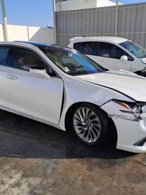 2019 LEXUS ES 350 JTHBZ1B19K2007142