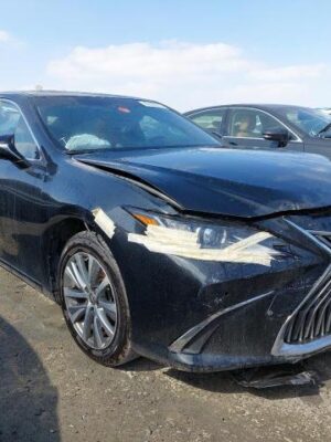 2021 LEXUS ES 300H JTHB21B19M2139695