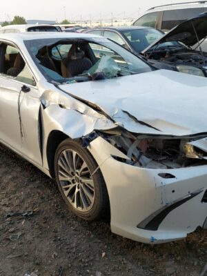 2020 LEXUS ES300 JTHB21B11L2074100