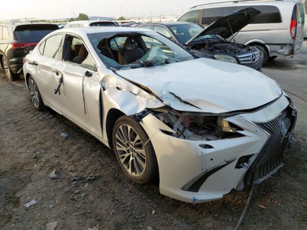 2020 LEXUS ES300 JTHB21B11L2074100