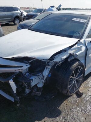 2019 TOYOTA CAMRY JTNBZ4HK9K3009840