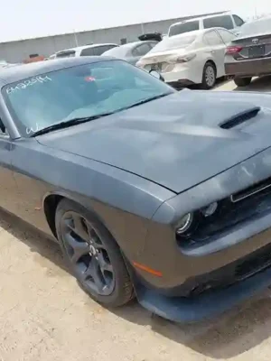 2019 DODGE CHALLENGER 2C3CDZJG4KH503180