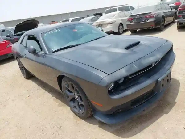 2019 DODGE CHALLENGER 2C3CDZJG4KH503180