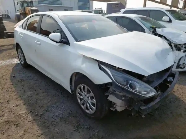 2019 KIA CERATO KNAF24164K5849176