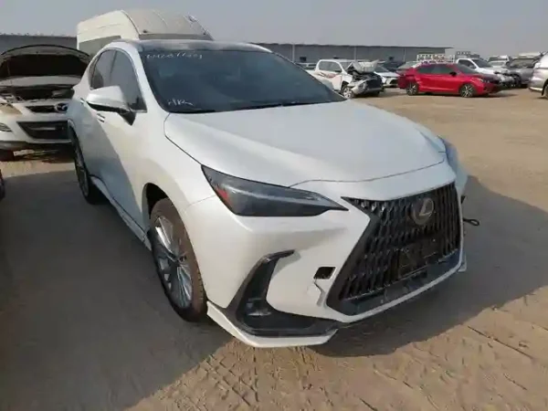 2024 Lexus NX 350H CV JT6CKDEZ2R2038571